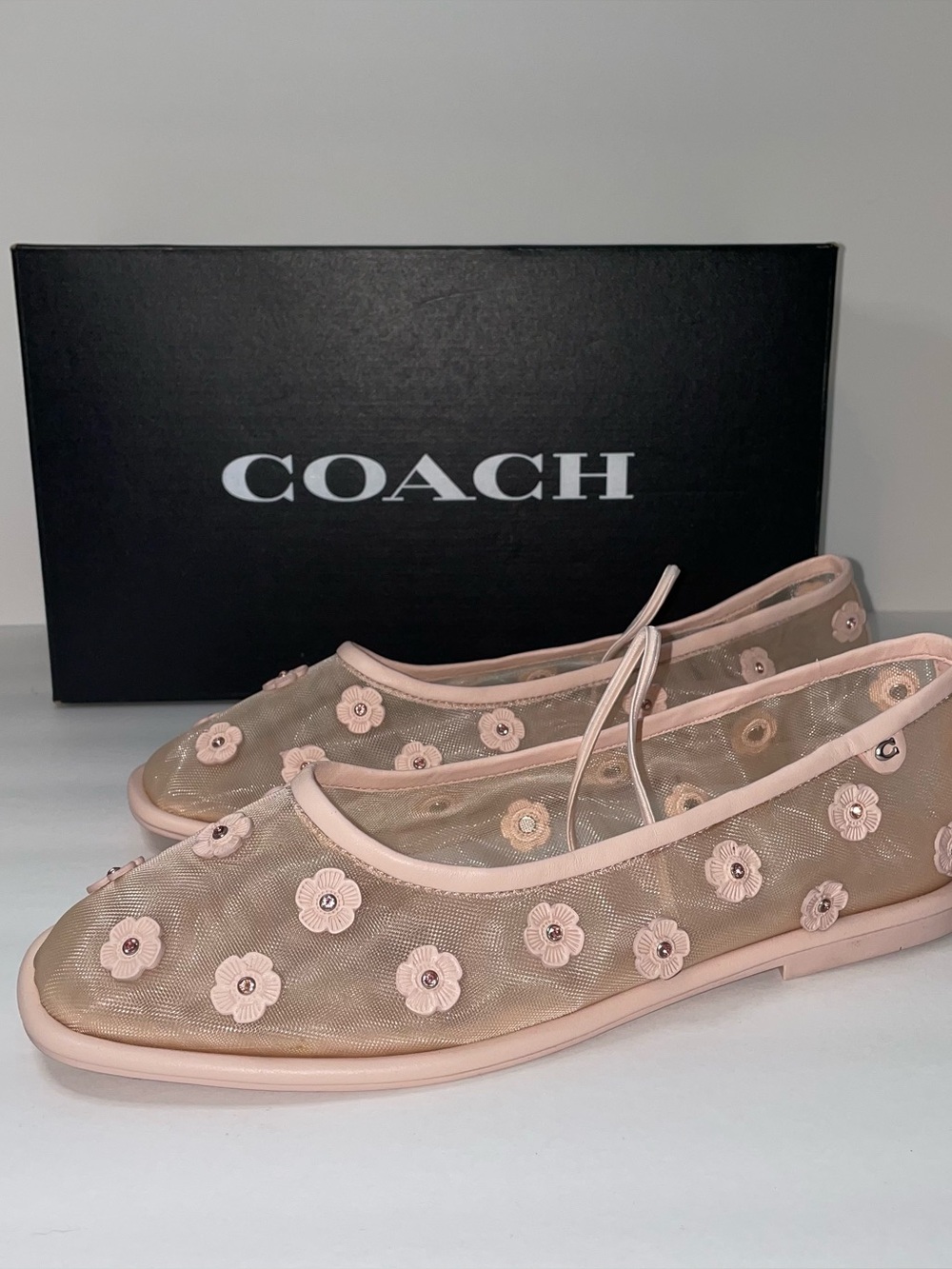 Coach Emilia Mesh Tea Rose Mary Jane Blush